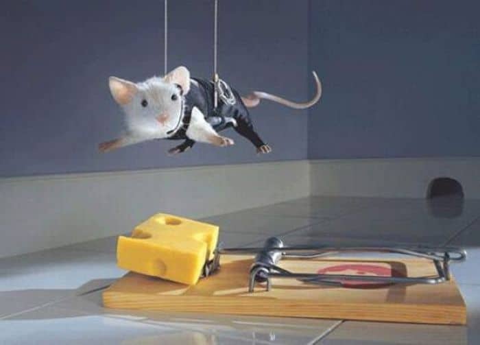 Name:  Funny-mission-impossible-mouse-trap.jpg
Views: 204
Size:  20.3 KB