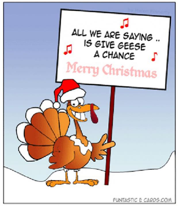 Name:  funny-christmas-turkeygeese.jpg
Views: 176
Size:  46.2 KB