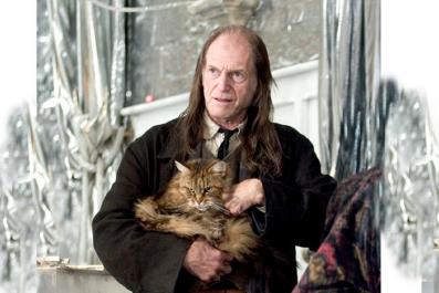 Name:  argus-filch-cat.jpg
Views: 214
Size:  20.2 KB