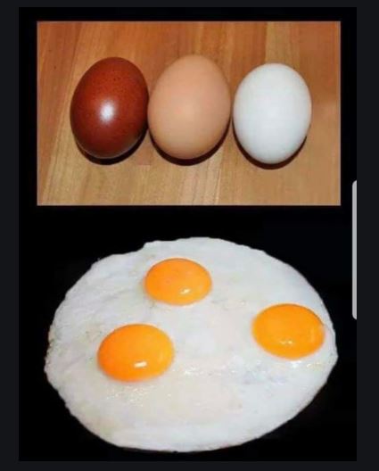 Name:  racism eggs.JPG
Views: 70
Size:  27.9 KB