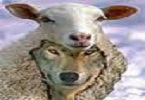SheffRam's Avatar
